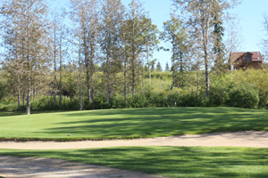 fairway with trees in the background